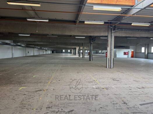 Lagerhalle zur Miete 5.800 m² Lagerfläche Bad Oldesloe 23843