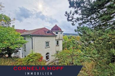Mehrfamilienhaus zum Kauf 299.000 € 10 Zimmer 284,4 m² 1.643 m² Grundstück Langewiesen Langewiesen 98704