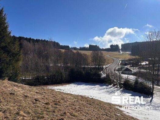 Grundstück zum Kauf 135.000 € 969 m² Grundstück Althellmonsödt 4202
