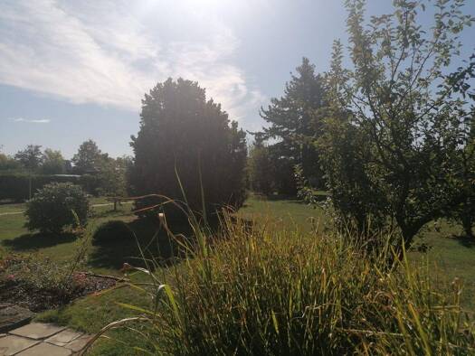 Grundstück zum Kauf 460.000 € 2.008 m² Grundstück Hartmannsdorf-Knautnaundorf Leipzig 04249