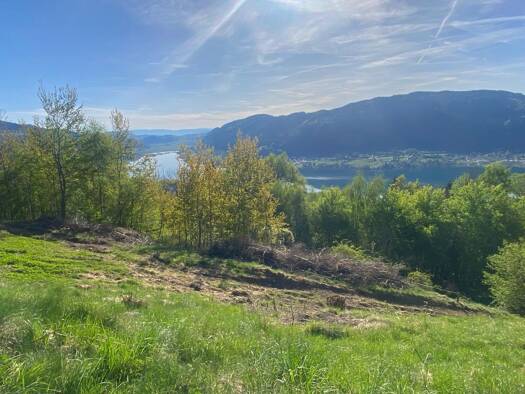 Grundstück zum Kauf 390.000 € 1.408 m² Grundstück frei ab sofort Steindorf am Ossiacher See 9552