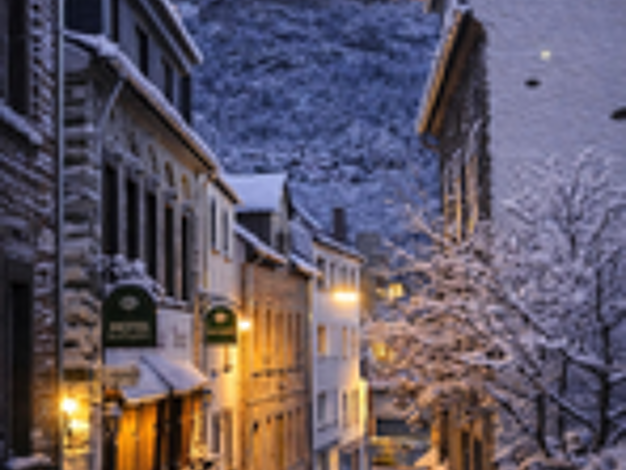 Stadthaus zum Kauf 499.000 € 5 Zimmer 80 m² 667 m² Grundstück Cond Cochem 56812