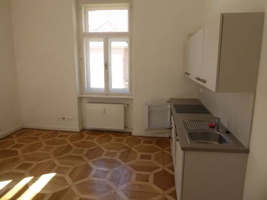 Wohnung zur Miete 12,60 € 1 Zimmer 24 m² frei ab 01.11.2026 Geidorf Graz 8010