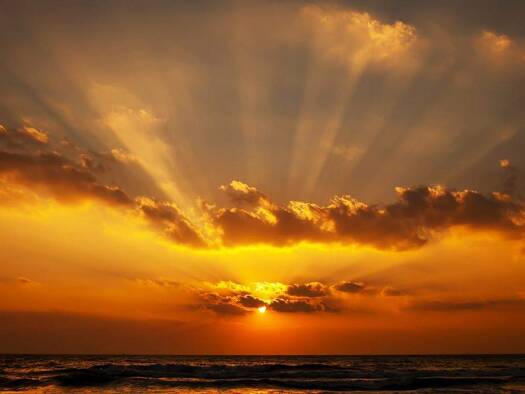 Grundstück zum Kauf 1.550.000 € 1.441 m² Grundstück Eutingen Pforzheim 75181