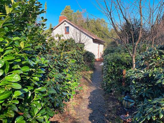 Einfamilienhaus zum Kauf 149.000 € 2 Zimmer 60,5 m² 1.500 m² Grundstück Vierden 27419