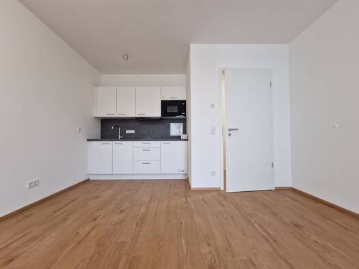 Studio zur Miete 1.287 € 2 Zimmer 53 m² Geschoss 2/6 frei ab 15.01.2026 Wiesenstraße 11 Gesundbrunnen Berlin 13357