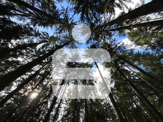 Land-/Forstwirtschaft zum Kauf 260.000 € 56.840 m² Grundstück Teunz 92552