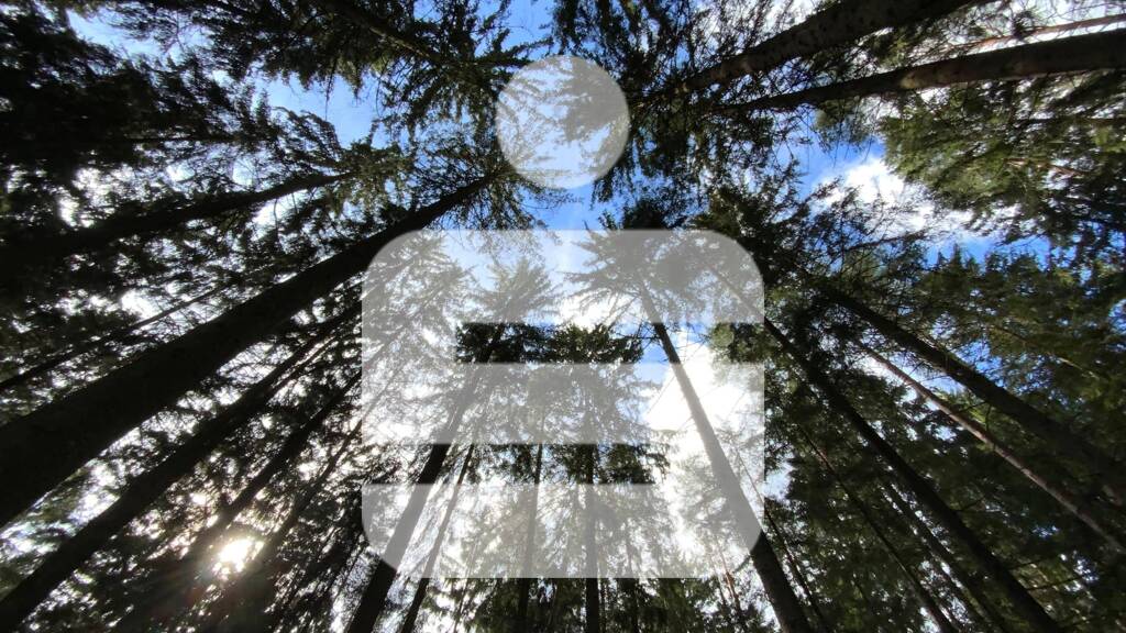 Land-/Forstwirtschaft zum Kauf 260.000 € 56.840 m² Grundstück Teunz 92552