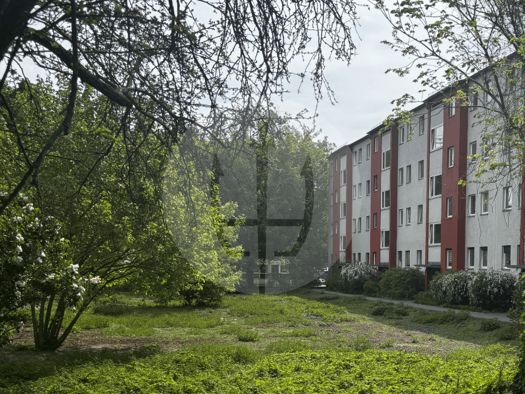 Wohnung zum Kauf 238.000 € 2 Zimmer 48,8 m² 1. Geschoss Charlottenburg Berlin 13627