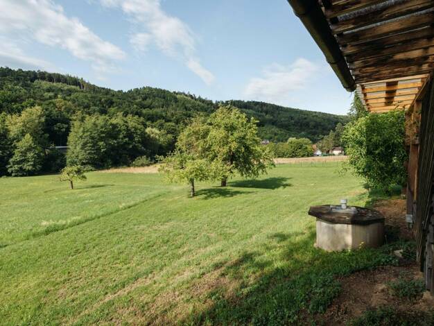 Einfamilienhaus zum Kauf 990.000 € 5 Zimmer 85 m² 5.320 m² Grundstück Straßgang Graz 8054