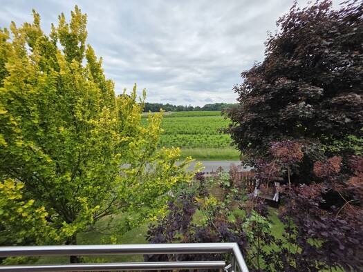 Studio zur Miete 500 € 3 Zimmer 82 m² Geschoss 1/2 frei ab sofort Lotte 49504