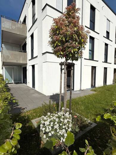 Wohnung zur Miete 1.425 € 3 Zimmer 86,4 m² EG frei ab sofort Fritz-Bauer-Straße 21 Finkenhof Bonn 53123