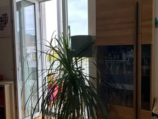 Wohnung zur Miete 520 € 2 Zimmer 50 m² Geschoss 1/4 frei ab 11.11.2026 Bad Kreuznach Bad Kreuznach 55543