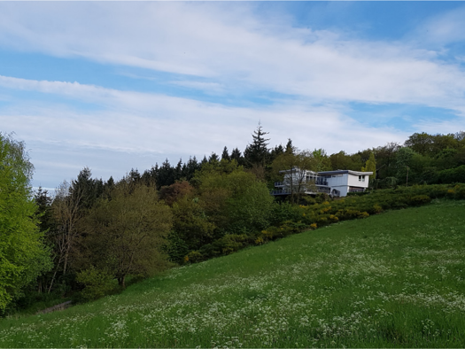 Grundstück zum Kauf provisionsfrei 120.000 € 1.540 m² Grundstück Im Borntal Kürrenberg Mayen 56727