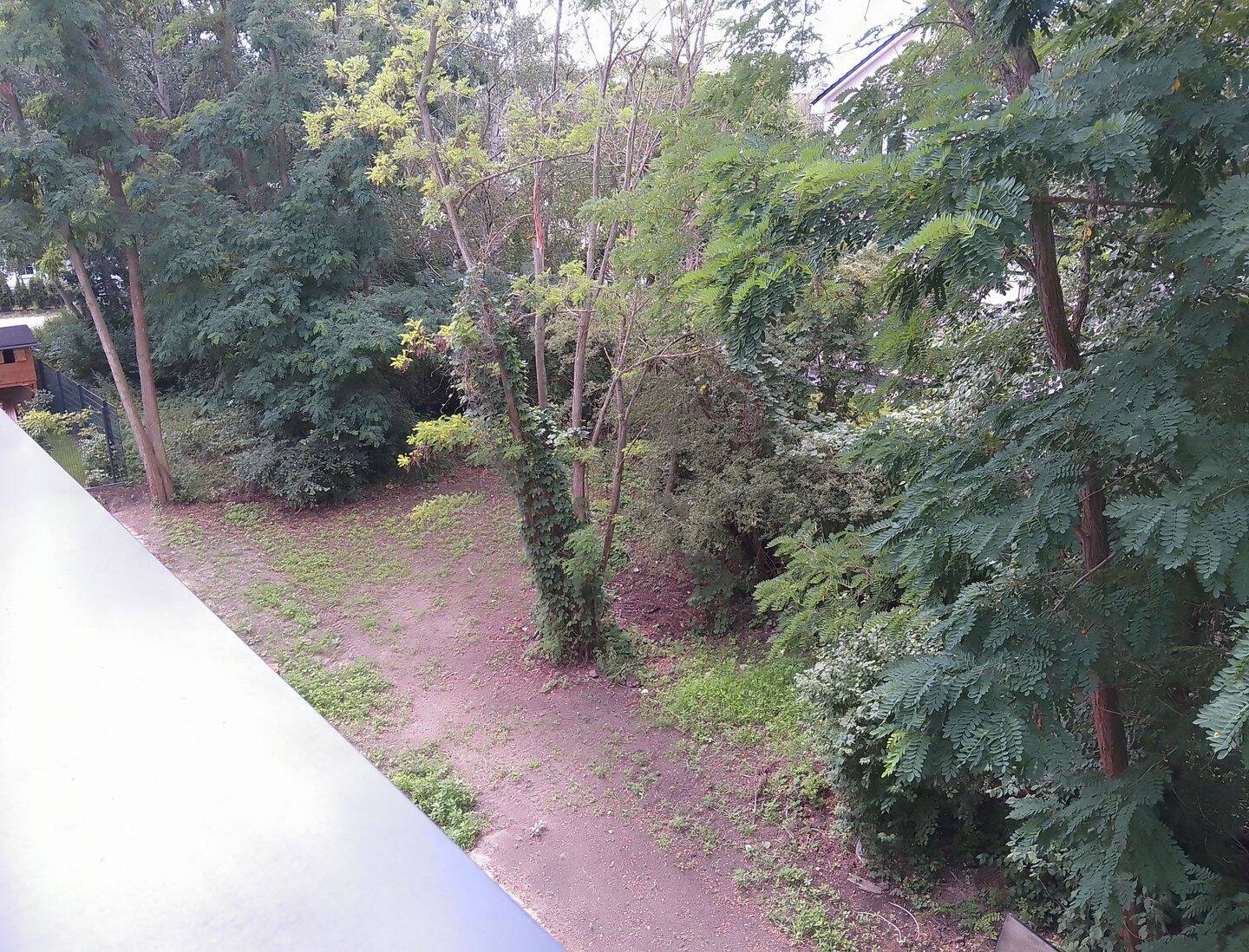 Property thumbnail 13