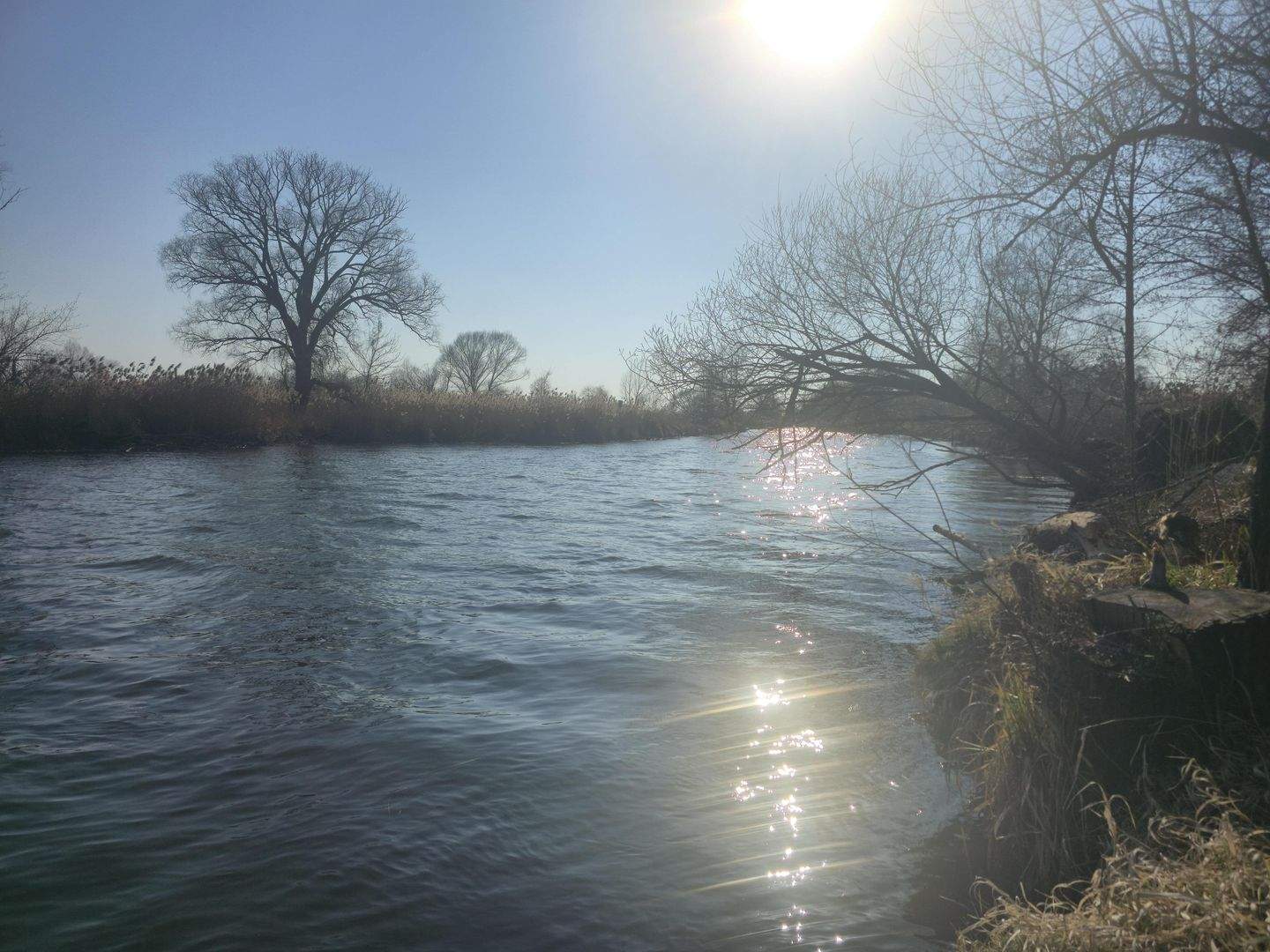 Immobilie in Schönwald - Ein Ort, der mehr ist als ein Zuhause - Bild 1