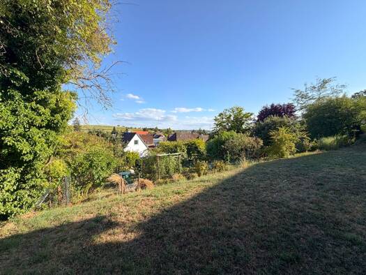 Studio zur Miete 620 € 1 Zimmer 50 m² frei ab sofort Hertingen Bad Bellingen 79415