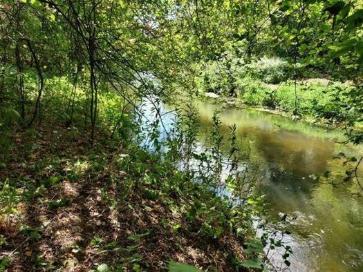 Grundstück zum Kauf 247.000 € 12.800 m² Grundstück Sucha Beskidzka 27-423