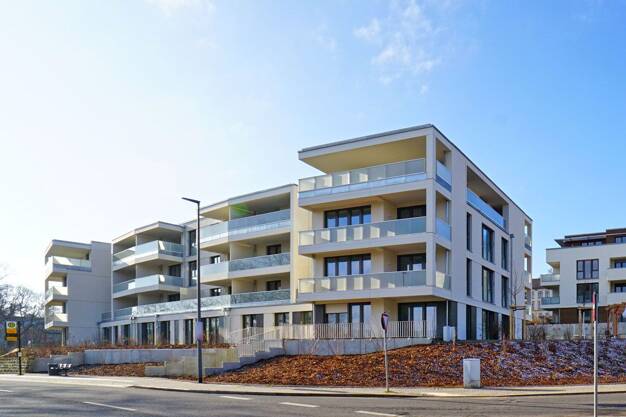 Wohnung zur Miete 570 € 2 Zimmer 37,5 m² EG Altnaußlitz 13 Naußlitz-Süd Dresden 01159
