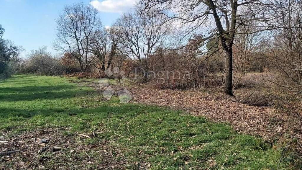 Land-/Forstwirtschaft zum Kauf 37.000 € Liznjan