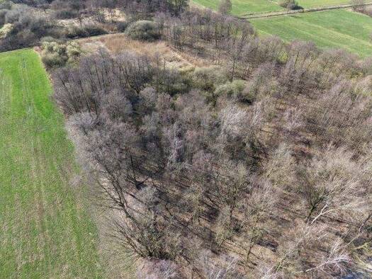 Forstwirtschaft zum Kauf 10.363 m² Grundstück Bramsche 49565