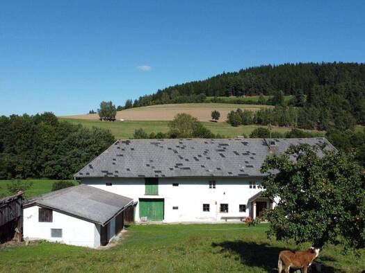 Bauernhaus zum Kauf 139.000 € 4 Zimmer 119 m² 3.931 m² Grundstück Oberhirschgraben 7 Hirschbach im Mühlkreis 4242