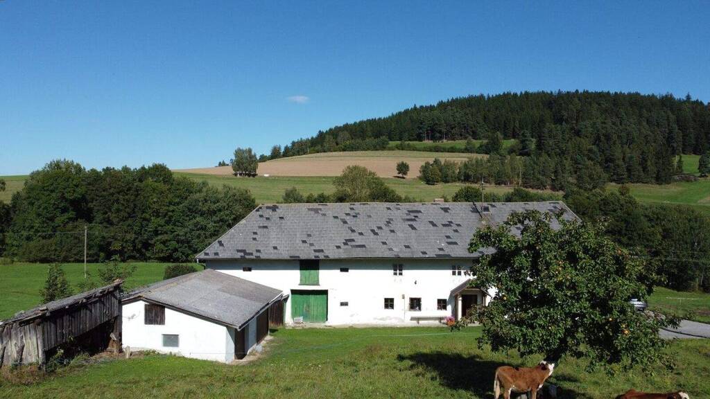 Bauernhaus zum Kauf 139.000 € 4 Zimmer 119 m² 3.931 m² Grundstück Oberhirschgraben 7 Hirschbach im Mühlkreis 4242