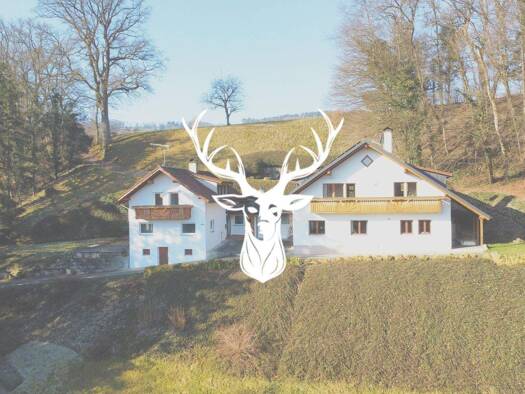 Haus zum Kauf 898.000 € 10 Zimmer 385 m² 4.459 m² Grundstück Bühl Klettgau 79771