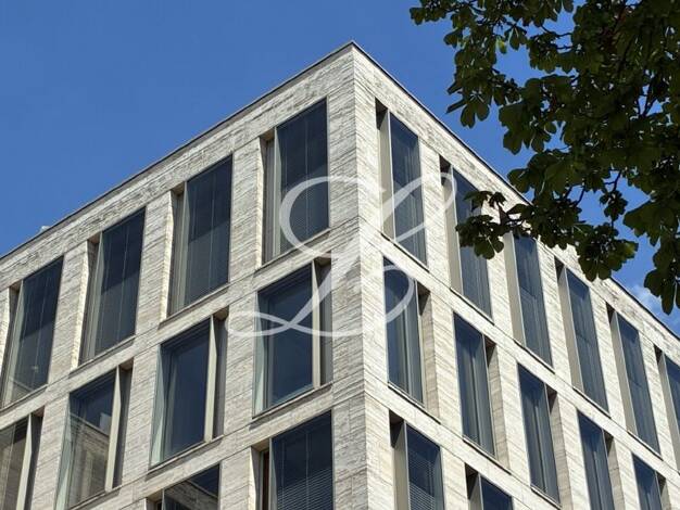 Bürofläche zur Miete provisionsfrei 22 € 286,3 m² Bürofläche Zentrum Bonn 53111