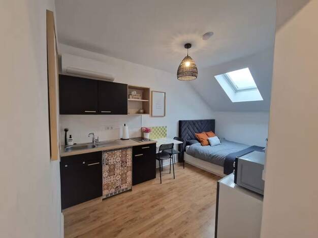 Wohnung zur Miete 500 € 1 Zimmer 20 m² 2. Geschoss Rheingönheim Ludwigshafen am Rhein 67065