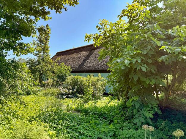 Einfamilienhaus zum Kauf 290.000 € 4 Zimmer 100 m² 105 m² Grundstück Winnert 25887