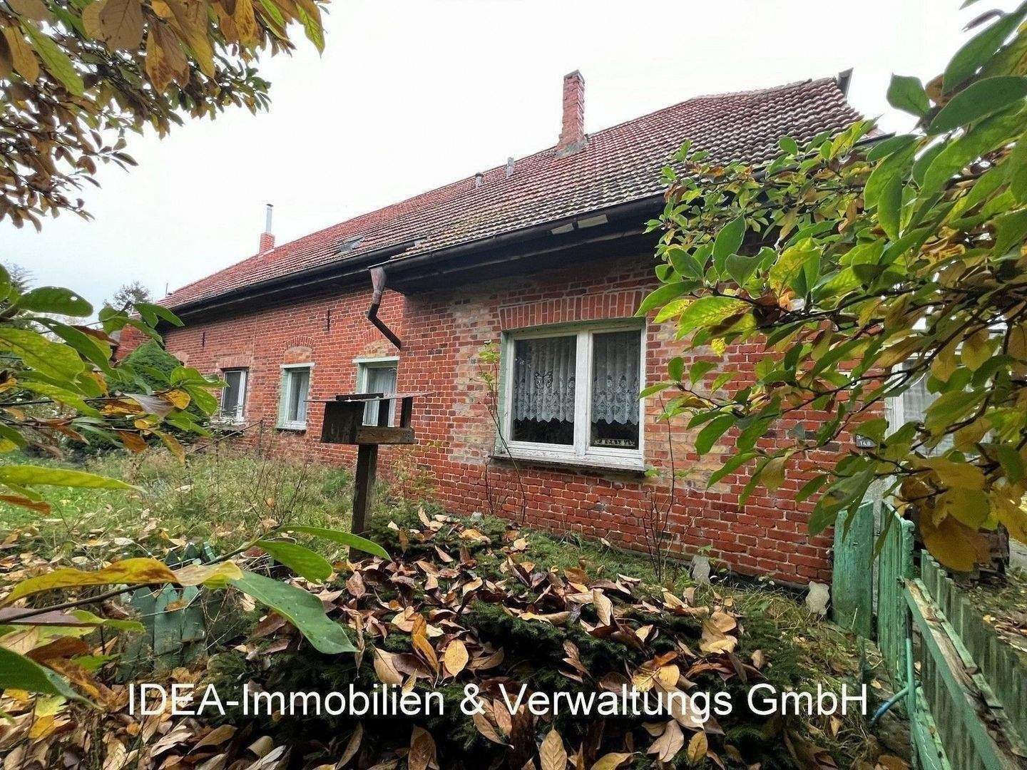 House in Gremersdorf-Buchholz, Vorpommern-Rügen - Ansicht 3