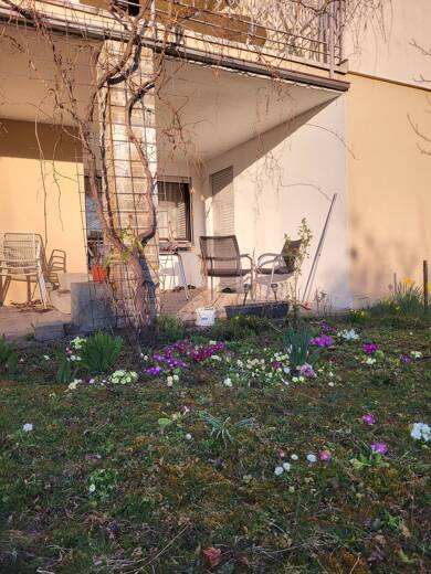 Wohnung zur Miete 550 € 2 Zimmer 54 m² Geschoss EG/2 Wimmental Weinsberg 74189