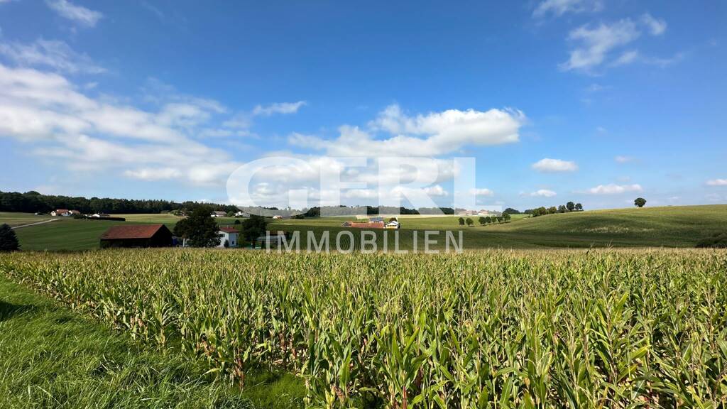 Grundstück zum Kauf 32.056 m² Grundstück Schwimmbach Leiblfing 94339