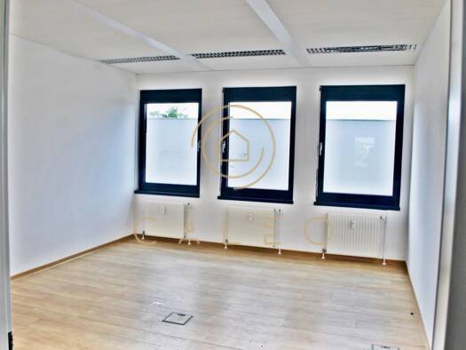 Bürofläche zur Miete provisionsfrei 9,25 € 160 m² Bürofläche teilbar ab 160 m² Industriegebiet Langen (Hessen) 63225