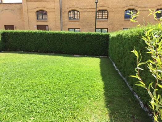 Maisonette zum Kauf - Erstbezug provisionsfrei 302.000 € 3 Zimmer 71 m² 1. Geschoss frei ab sofort Ilversgehofen Erfurt 99086