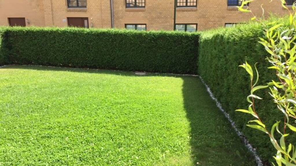 Maisonette zum Kauf - Erstbezug provisionsfrei 302.000 € 3 Zimmer 71 m² 1. Geschoss frei ab sofort Ilversgehofen Erfurt 99086