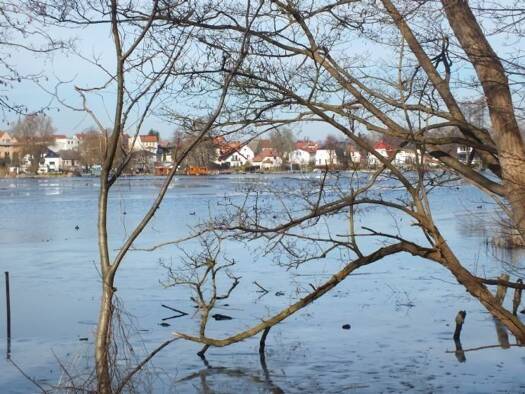 Grundstück zum Kauf 108.575 € 505 m² Grundstück Fürstenberg/Havel 16798