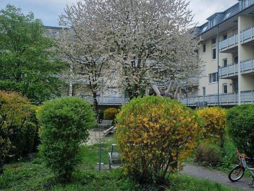 Wohnung zum Kauf 299.000 € 2 Zimmer 56 m² Geschoss 2/3 frei ab sofort Dachau Dachau 85221