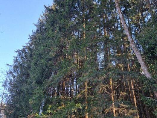 Land-/Forstwirtschaft zum Kauf 140.000 € 23.184 m² Grundstück Gensöd Erlbach 84567