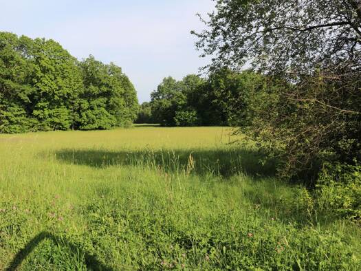 Grundstück zum Kauf 97.000 € 2.200 m² Grundstück Baugenehmigung vorhanden frei ab sofort Großdubrau 02694