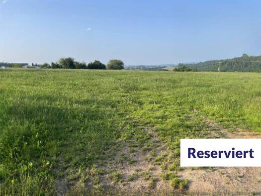 Land-/Forstwirtschaft zum Kauf 105.063 € 50.030 m² Grundstück Eigelscheid Winterspelt 54616