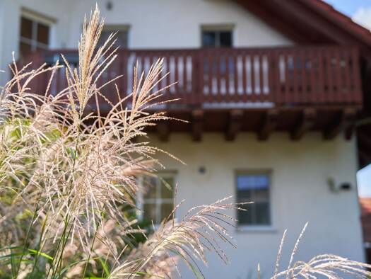 Einfamilienhaus zum Kauf 699.000 € 4 Zimmer 163 m² 630 m² Grundstück Rahnsdorf Berlin 12589