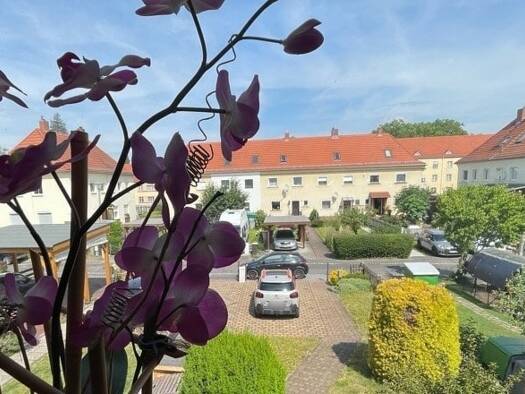 Reihenmittelhaus zum Kauf 279.500 € 4 Zimmer 93,5 m² 291 m² Grundstück Reick Dresden 01237