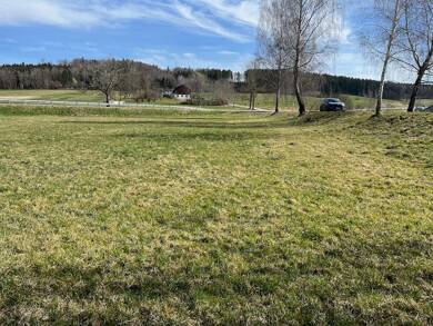 Land-/Forstwirtschaft zum Kauf 45.200 € 4.250 m² Grundstück Mindelheim Mindelheim 87719