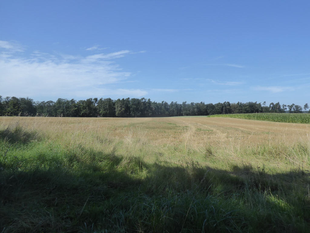 Land-/Forstwirtschaft zum Kauf 36.619 m²<br/>Grundstück Unterrimbach Burghaslach Umgebung 96152