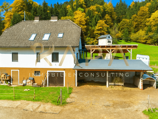 Bauernhaus zum Kauf 325.000 € 4 Zimmer 160 m² 2.075 m² Grundstück frei ab sofort Hermagor-Pressegger See 9624