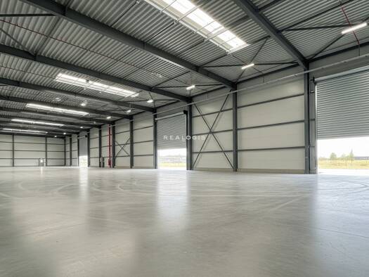 Halle/Industriefläche zur Miete provisionsfrei 1.500 m² Lagerfläche Münsingen Münsingen 72525
