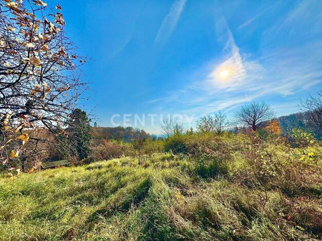 Grundstück zum Kauf 895.000 € 2.111 m² Grundstück frei ab sofort Radebeul 01445