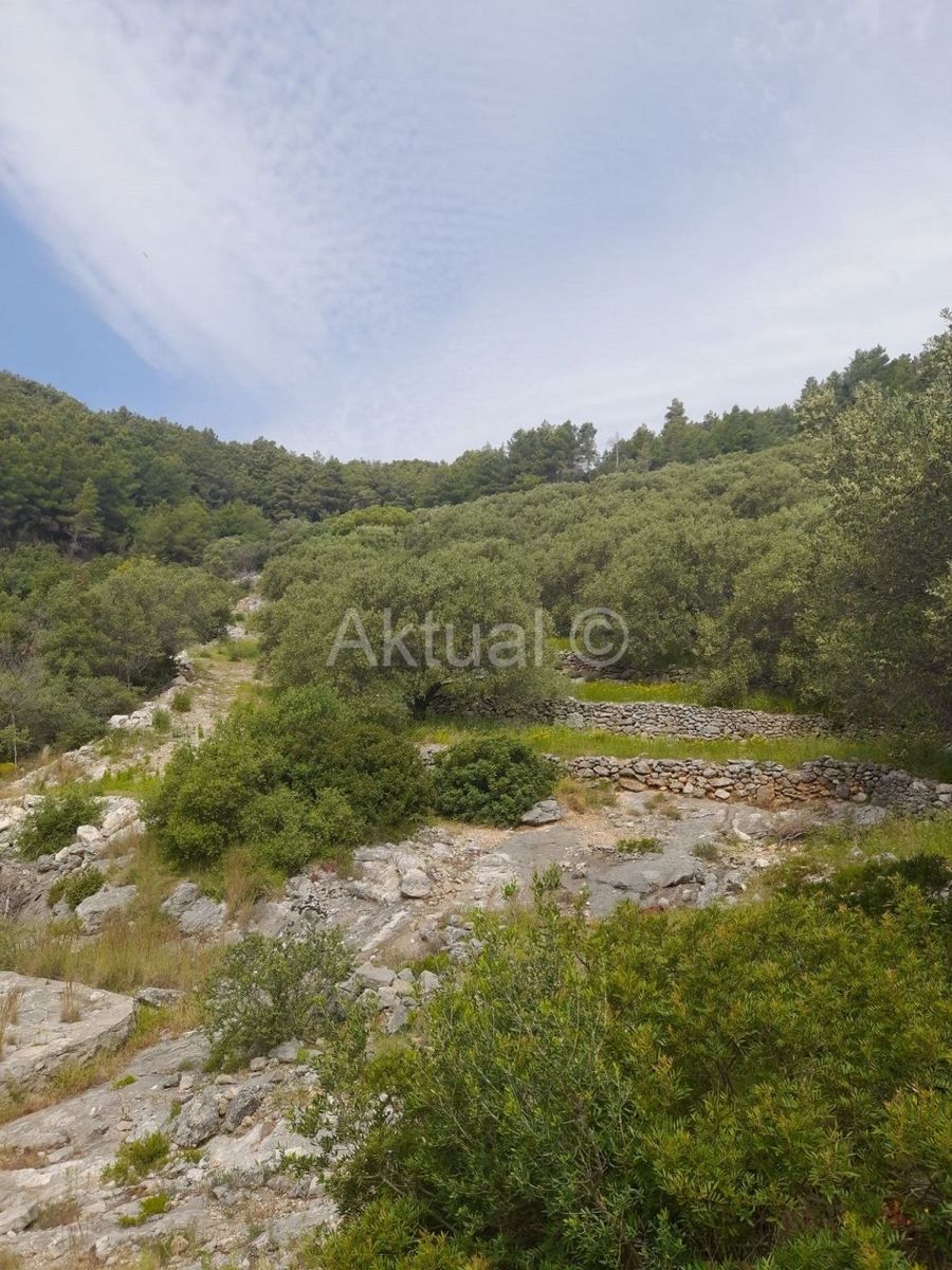 Land-/Forstwirtschaft zum Kauf 800.000 € Korcula Blato